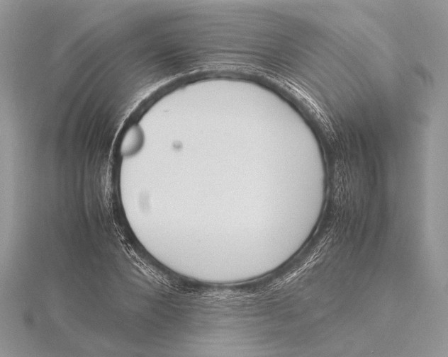 X0000115760880200912041408