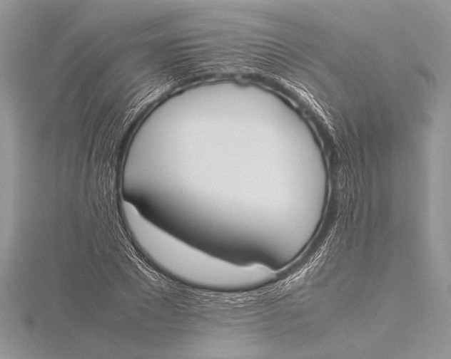 X0000115760881200912041408