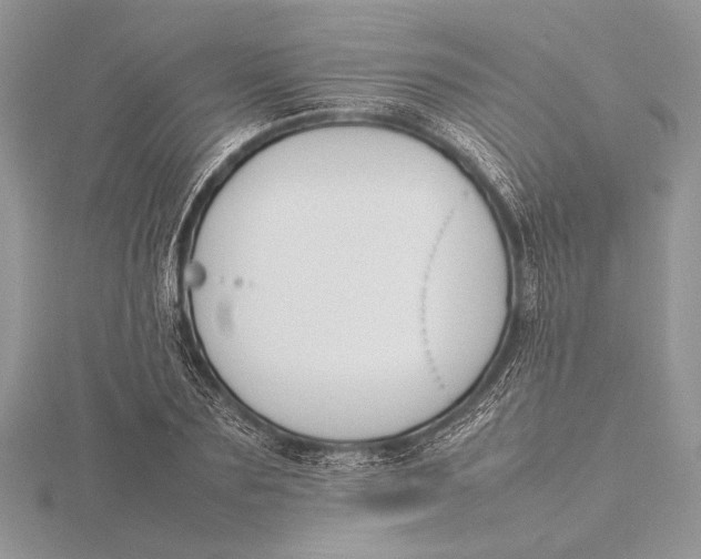 X0000115760883200912041408