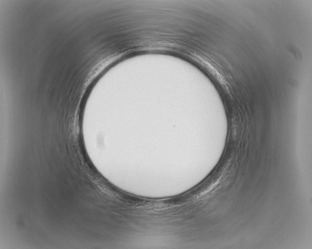 X0000115760885200912041408