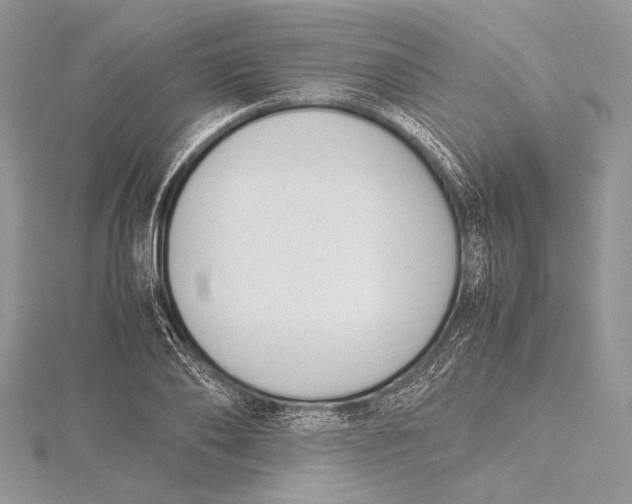 X0000115760886200912041408