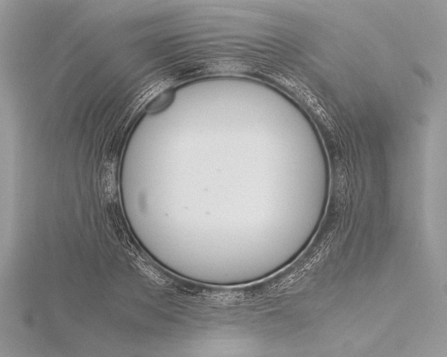 X0000115760889200912041408