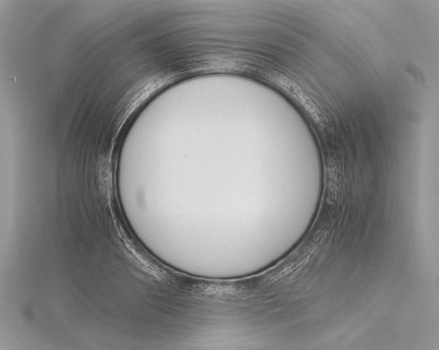 X0000115760890200912041408