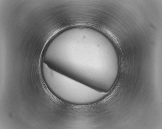 X0000115760892200912041408