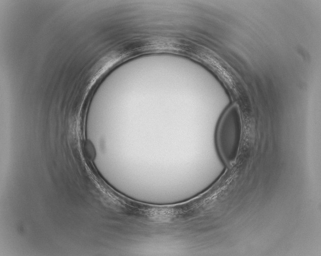 X0000115760893200912041408