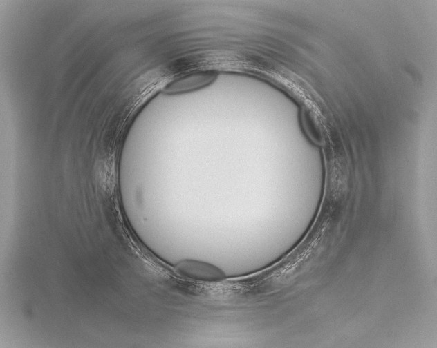 X0000115760897200912041408