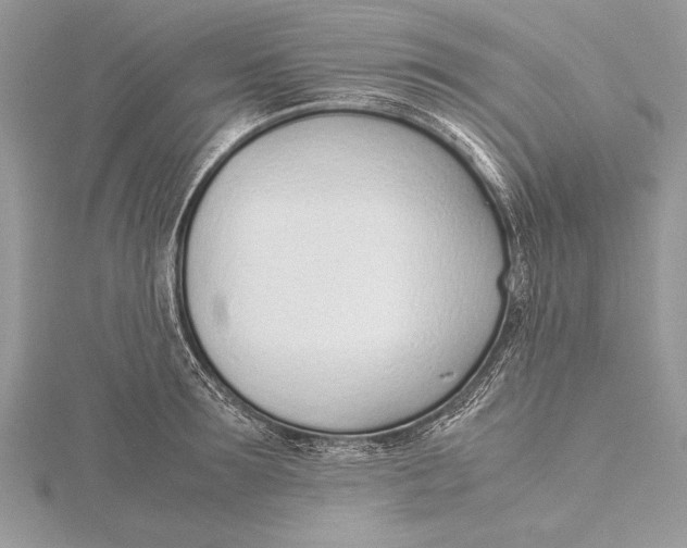 X0000115760899200912041408