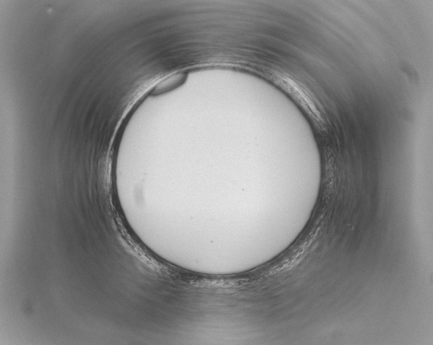 X0000115760900200912041408