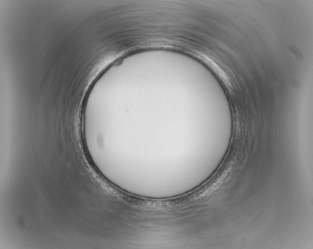 X0000115760901200912041408