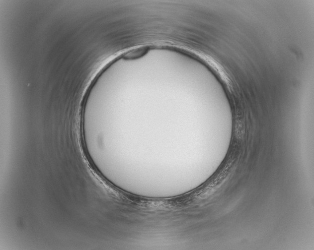 X0000115760903200912041408