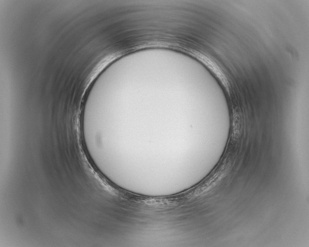 X0000115760906200912041408