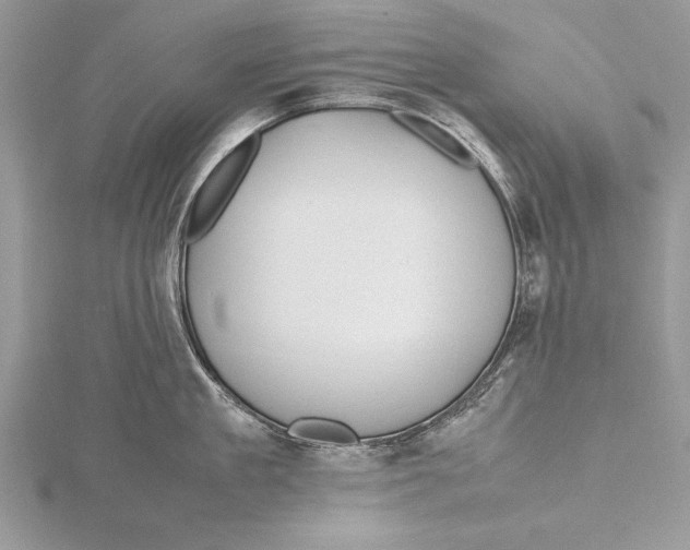 X0000115760909200912041408