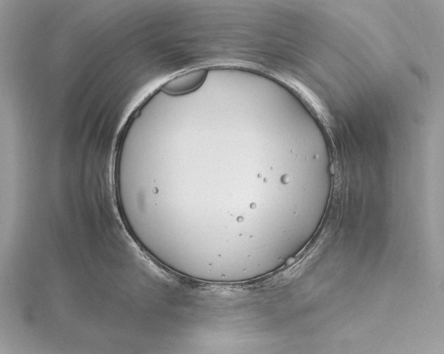 X0000115760910200912041408