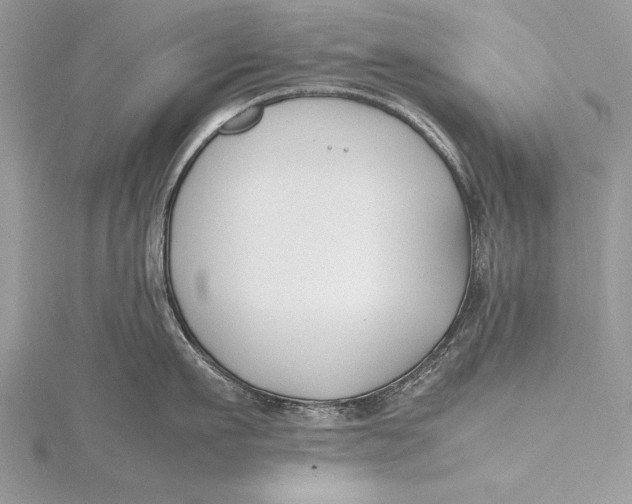 X0000115760911200912041408