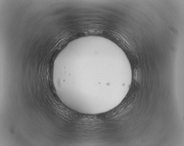 X0000115760915200912041407