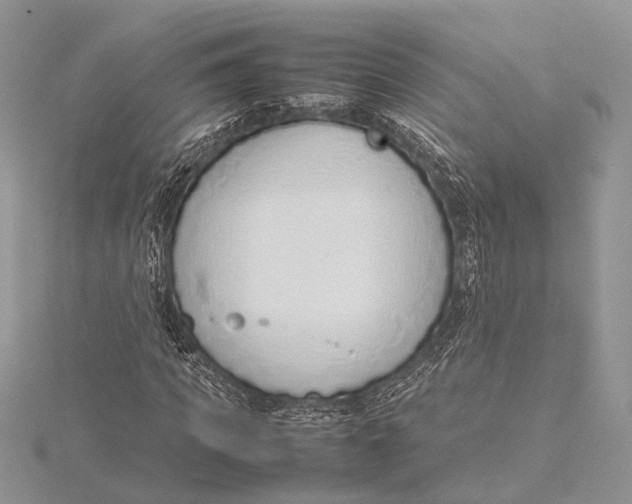 X0000115760917200912041407