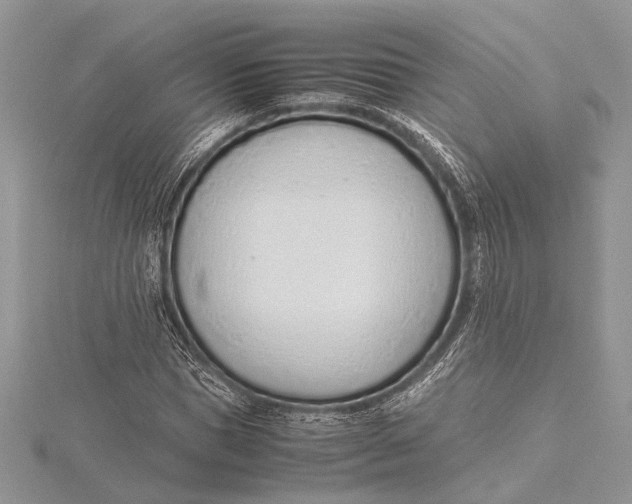 X0000115760921200912041407