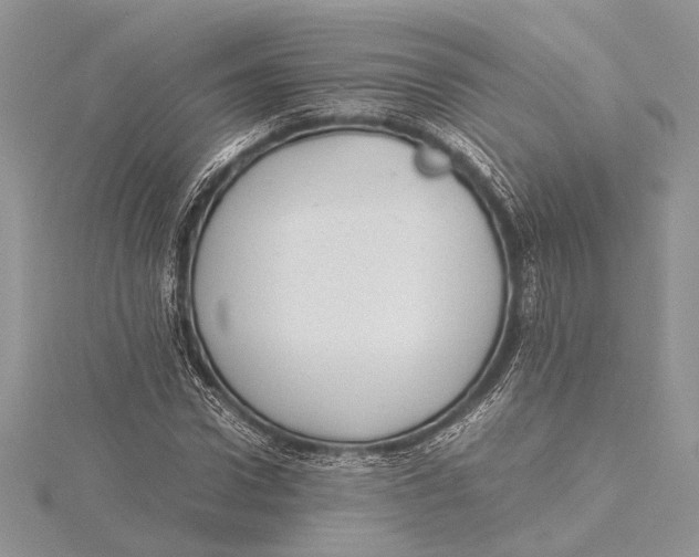 X0000115760922200912041407