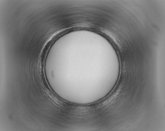 X0000115760923200912041407