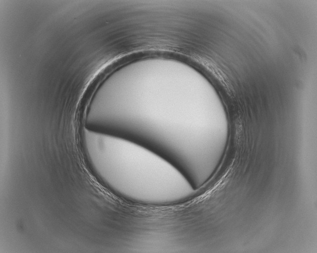 X0000115760926200912041407