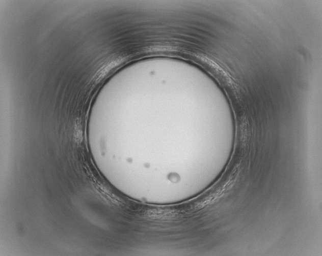 X0000115760929200912041407