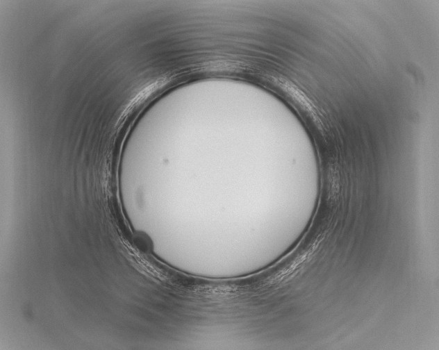 X0000115760930200912041407