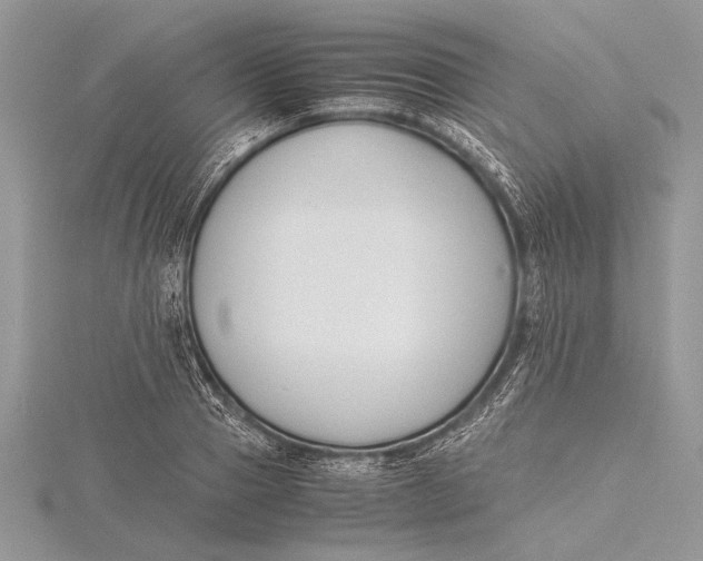 X0000115760937200912041407