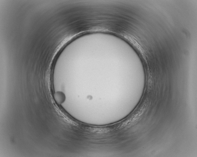 X0000115760941200912041408