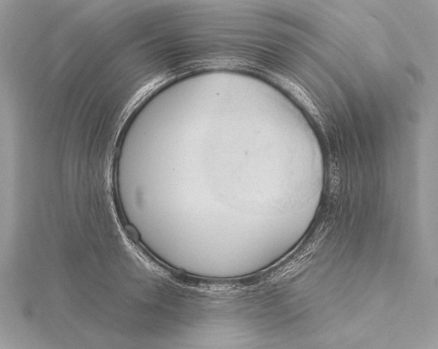 X0000115760946200912041408