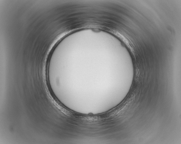 X0000115760947200912041408