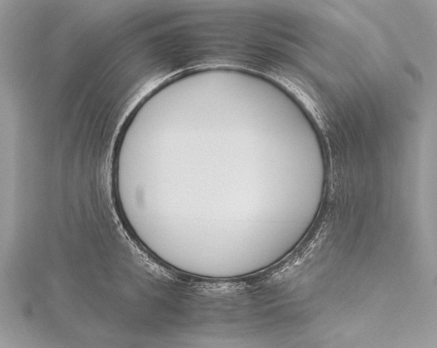 X0000115760949200912041408