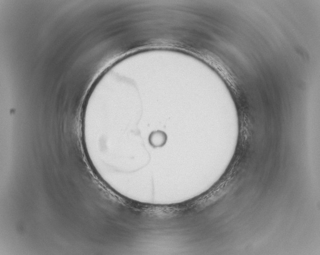 X0000115760950200912041408