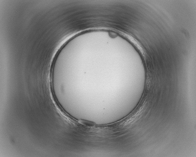 X0000115760951200912041408