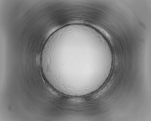 X0000115760953200912041408