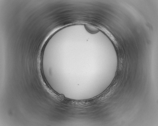 X0000115760955200912041408