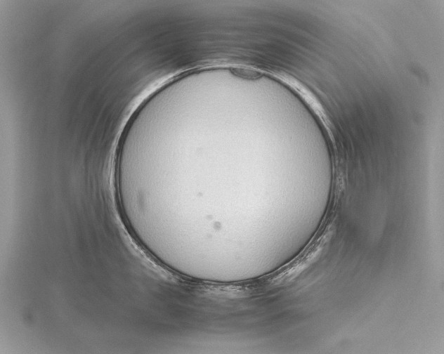 X0000115760957200912041408