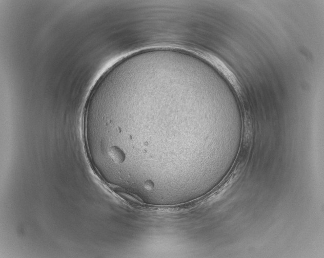 X0000115760958200912041408