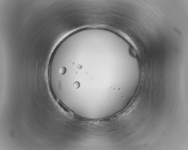 X0000115760959200912041408