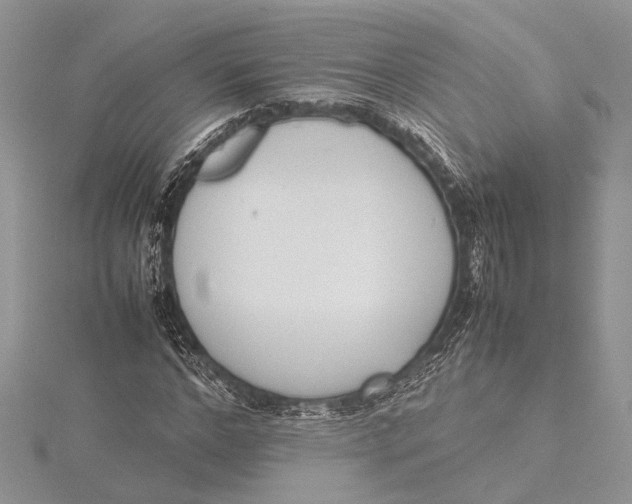 X0000115760968200912041407