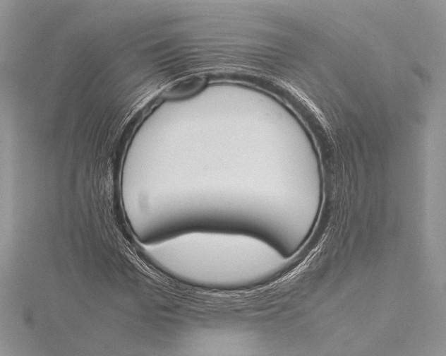 X0000115760969200912041407