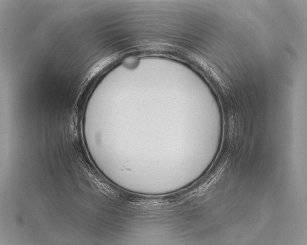 X0000115760970200912041407