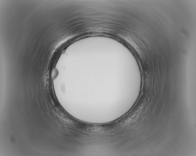 X0000115760971200912041407