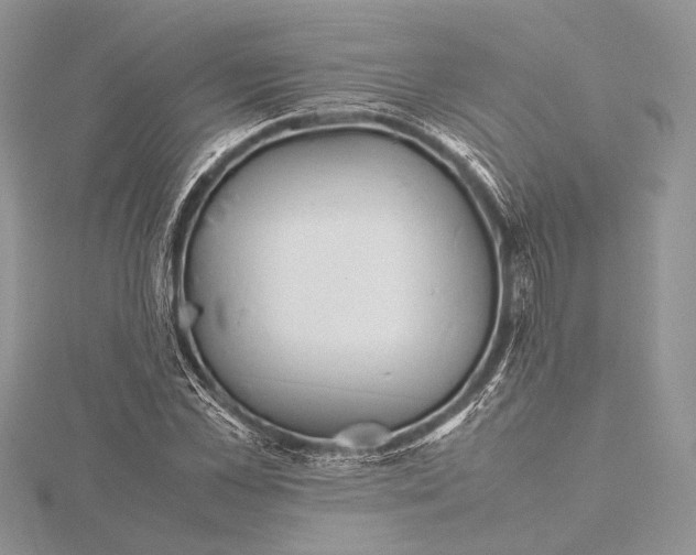 X0000115760973200912041407