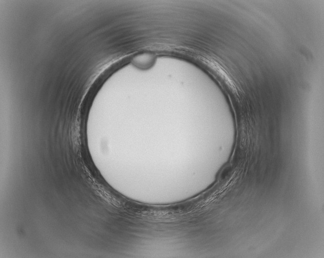 X0000115760976200912041407