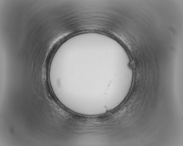 X0000115760979200912041407