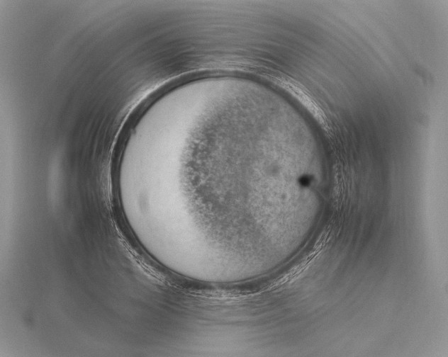 X0000115760980200912041407