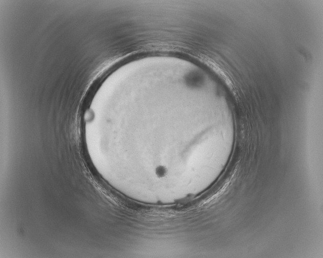 X0000115760981200912041407