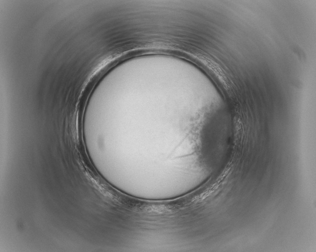 X0000115760982200912041407