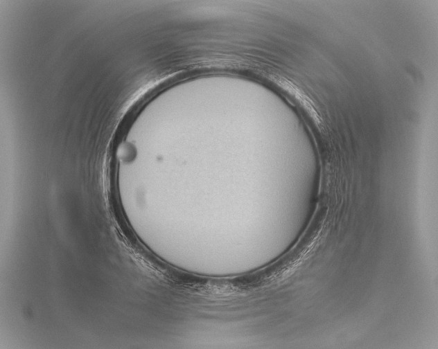 X0000115760983200912041407