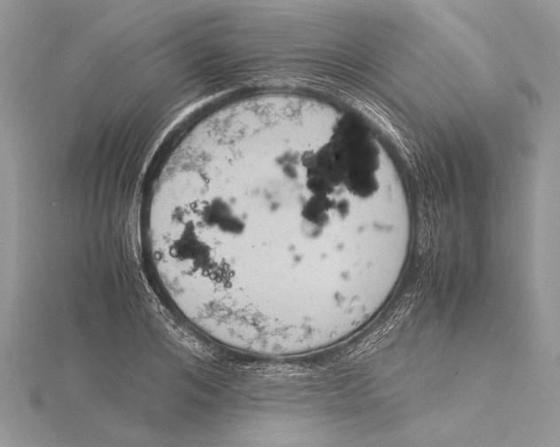 X0000115760984200912041407